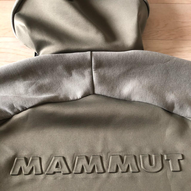 Mammut(マムート)のMAMMUT マムート Logo Hoody フードパーカー メンズ メンズのジャケット/アウター(マウンテンパーカー)の商品写真