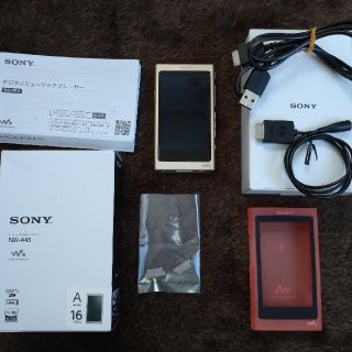 SONY WALKMAN NW-A45(ポータブルプレーヤー)