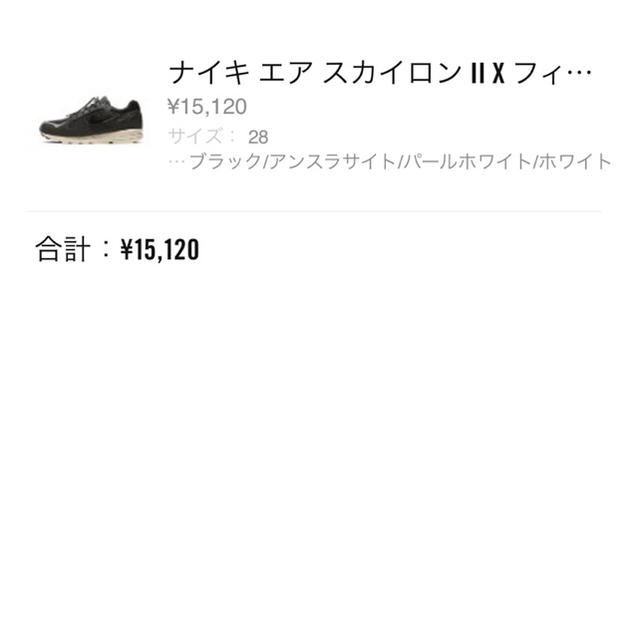 NIKE(ナイキ)のnike air skylon 2 / fog メンズの靴/シューズ(スニーカー)の商品写真