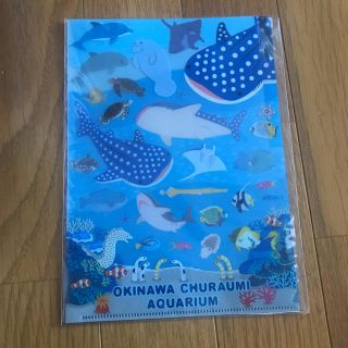 サンエックス(サンエックス)の沖縄　美ら海水族館　クリアファイル(クリアファイル)