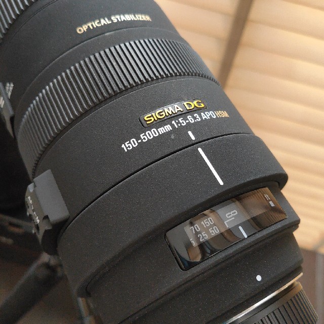 ニコン用 シグマ APO 150-500mm F5-6.3DG OS HSM | datatraceautomation.in