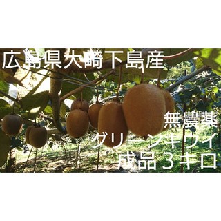 kasumi様専用 無農薬グリーンキウイ成品 5キロ&紅はっさく6個(フルーツ)