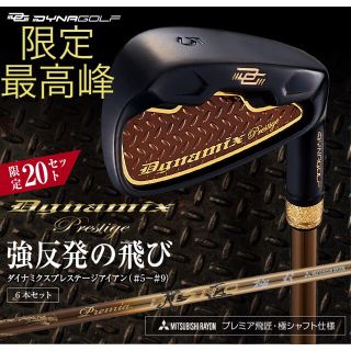 【ヘッドのみ6個】2番手飛ぶ最高峰!ダイナミクス プレステージアイアン 5〜PW