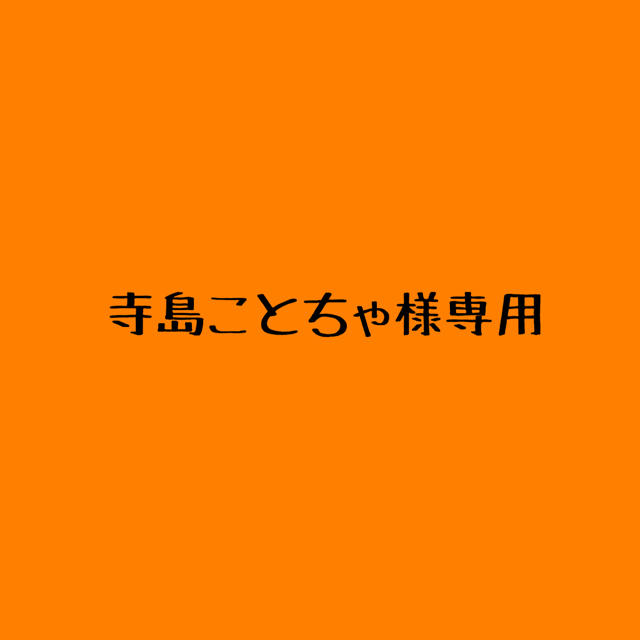 寺島ことちゃ様専用ページ その他のその他(その他)の商品写真