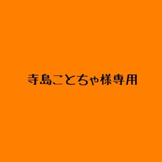 寺島ことちゃ様専用ページ(その他)