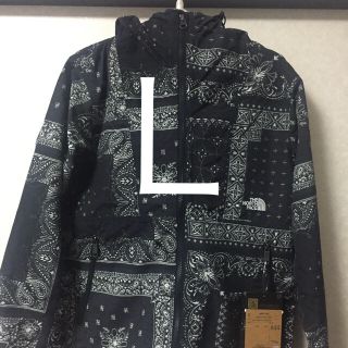 North Face ノベルティーコンパクトジャケット