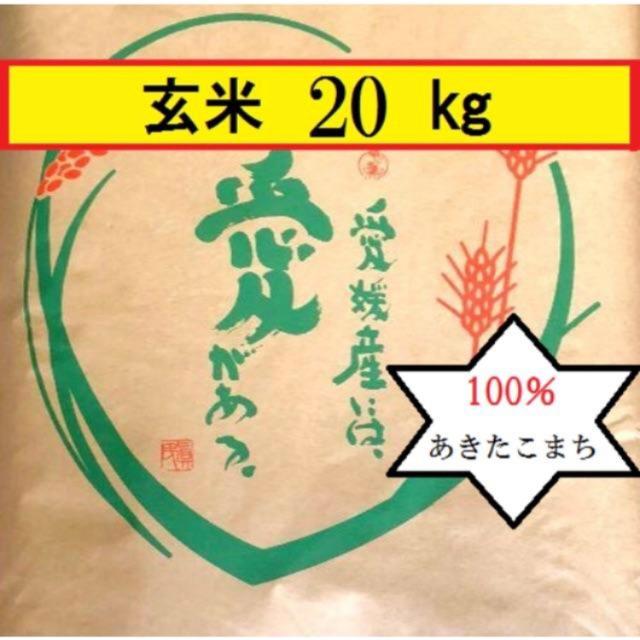 お米　令和元年愛媛県産あきたこまち　米/穀物　玄米　20kg