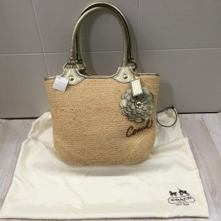 コーチ(COACH)のCOACH コーチ　カゴバッグ ハンドバッグ ショルダーバッグ(かごバッグ/ストローバッグ)