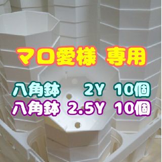 【マロ愛様 専用】カネヤ 八角鉢【2.5Y】10個+【2Y】10個 多肉植物(プランター)