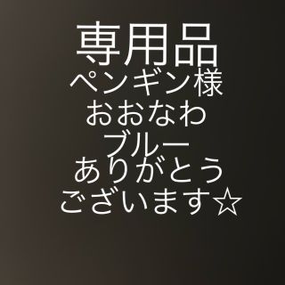 おおなわとび　5.6m 長なわ　長縄　ブルー(知育玩具)