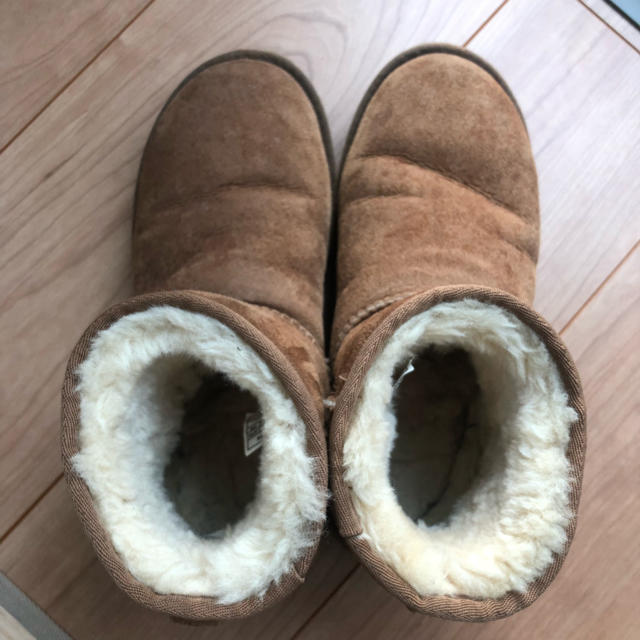 UGG(アグ)のUGG クラシックミニ 24㎝ レディースの靴/シューズ(ブーツ)の商品写真