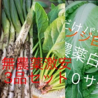 激安3品無農薬野菜セット約１００サイズ入るだけ今だけ100円引買わなきゃ損(野菜)