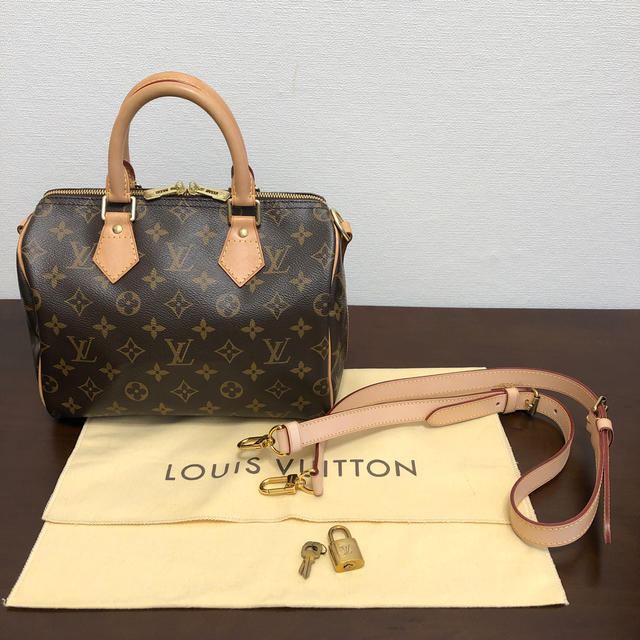 LOUIS VUITTON(ルイヴィトン)のちぃ様　専用 レディースのバッグ(ハンドバッグ)の商品写真