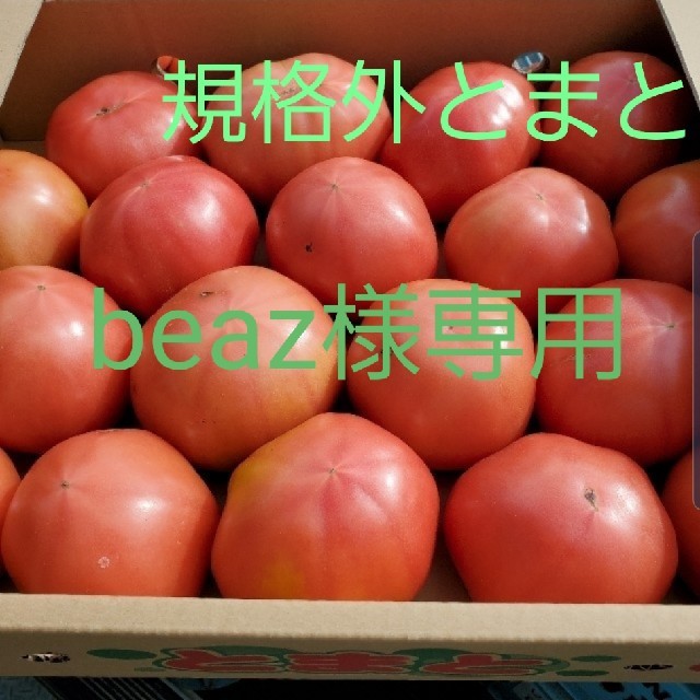規格外トマト　熊本県産　四キロ入り 食品/飲料/酒の食品(野菜)の商品写真