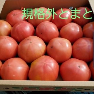 規格外　熊本県産トマト　四キロ入り×二箱(野菜)