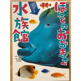 ほんとのおおきさ水族館(絵本/児童書)