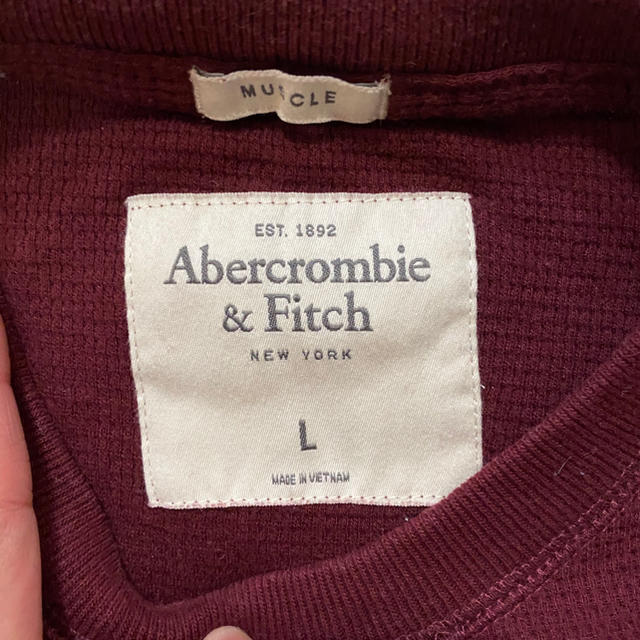 Abercrombie&Fitch(アバクロンビーアンドフィッチ)のニットロンT レディースのトップス(ニット/セーター)の商品写真