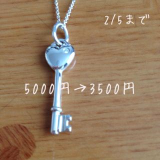 ティファニー(Tiffany & Co.)の《未使用》ティファニーネックレス(ネックレス)