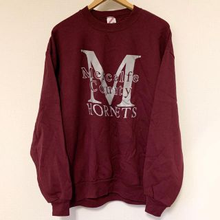 ビームス(BEAMS)のM.C.Hornets/JERZEESビンテージスウェットシャツ(アメリカ製)(スウェット)