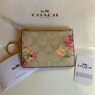 コーチ(COACH)のこあら様専用ページ(コインケース)