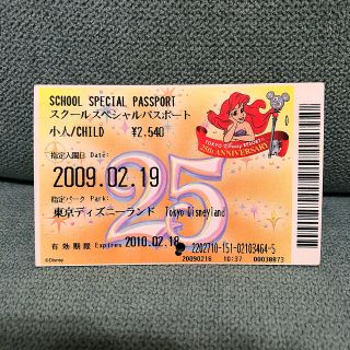 使用済み東京ディズニーランド ヴィンテージチケット