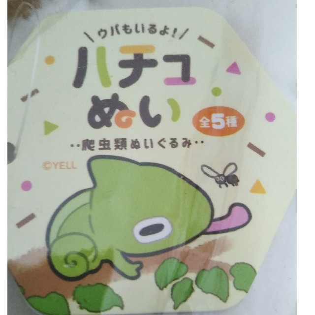 値下げしました ハチュぬい ぬいぐるみ 2点セット の通販 By とかげ 本物 ラクマ 値下げしました ハチュぬい ぬいぐるみ 2点セット の通販 By とかげ 本物 ラクマ