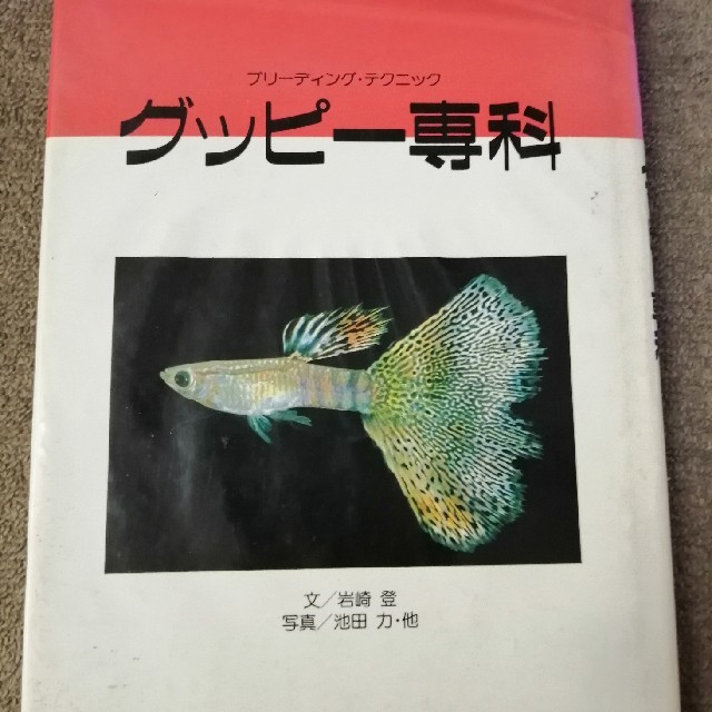 グッピー専科 エンタメ/ホビーの本(その他)の商品写真