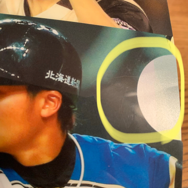 北海道日本ハムファイターズ(ホッカイドウニホンハムファイターズ)の日本ハムファイターズ　クリアファイル スポーツ/アウトドアの野球(記念品/関連グッズ)の商品写真