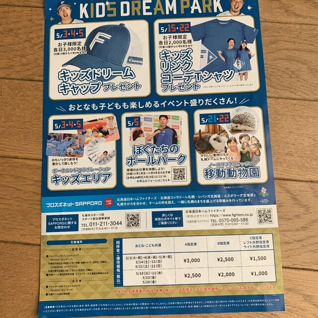 北海道日本ハムファイターズ(ホッカイドウニホンハムファイターズ)の日本ハムファイターズ　クリアファイル スポーツ/アウトドアの野球(記念品/関連グッズ)の商品写真