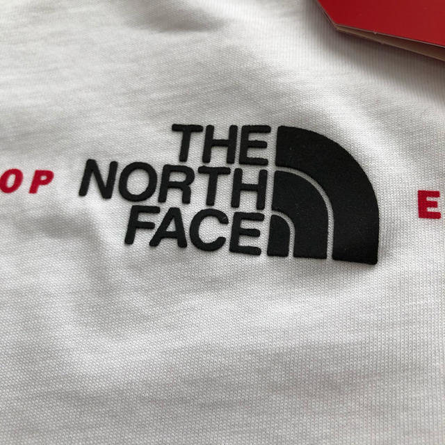 THE NORTH FACE(ザノースフェイス)の【海外限定】新作　TNF ノースフェイス キッズ　3Dロゴ　Tシャツ　120cm キッズ/ベビー/マタニティのキッズ服男の子用(90cm~)(Tシャツ/カットソー)の商品写真