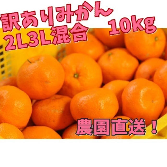 みかん 食品/飲料/酒の食品(フルーツ)の商品写真