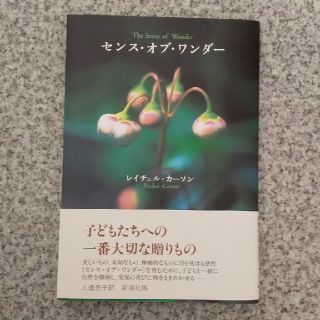 センスオブワンダー(文学/小説)