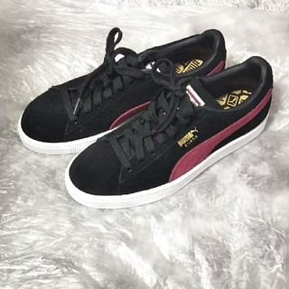 プーマ(PUMA)のPUMA スニーカー 24.5cm レディース(スニーカー)