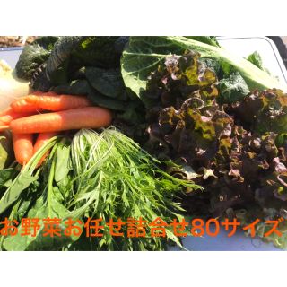 ✾お野菜お任せ詰合せセット✾(野菜)