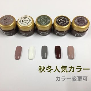 【カラー変更可】秋冬人気カラー② カラージェル ジェルネイル(カラージェル)