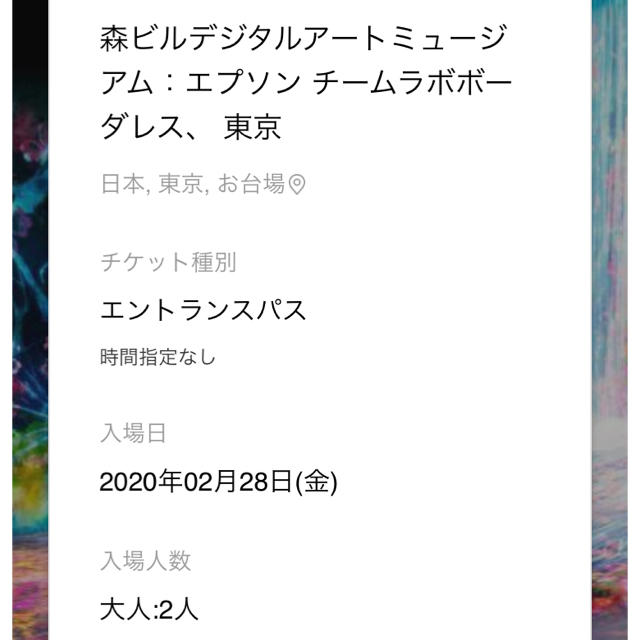 チームラボお台場チケット 大人2名