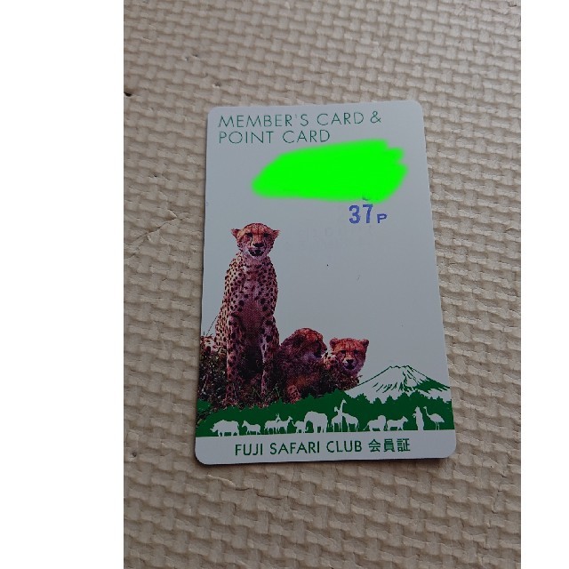 富士サファリパーク 会員カード チケットの施設利用券(動物園)の商品写真