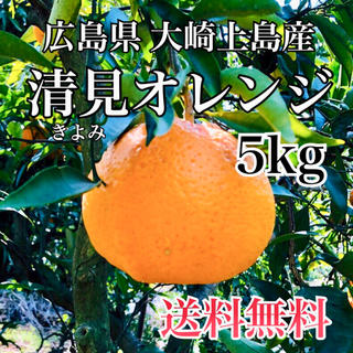 減農薬  清美オレンジ  5キロ ノーワックス　広島県産 大崎上島 もぎたて(フルーツ)