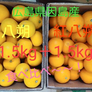 八朔　食べ比べ　3kg(フルーツ)