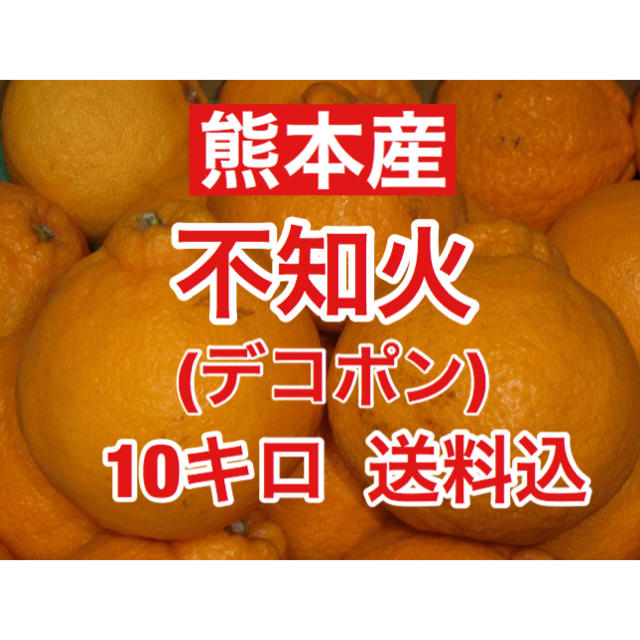 熊本産 不知火（デコポン）訳あり約10キロ 送料込み 食品/飲料/酒の食品(フルーツ)の商品写真