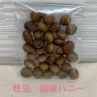 枝豆　越後ハニーの種　30粒（自家採種）(野菜)