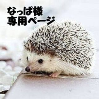 「なっぱ様 専用ページ」(エクササイズ用品)
