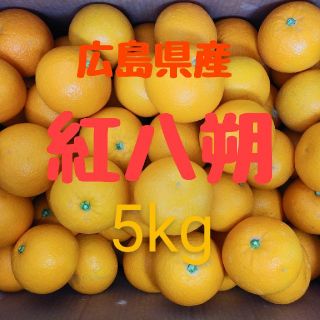 広島県産　紅八朔　5kg(フルーツ)