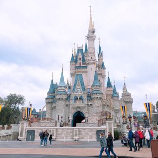 ディズニー(Disney)のcan.nalishow様専用(地図/旅行ガイド)