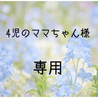  4児のママちゃん様専用　お米　令和元年　愛媛県産キヌヒカリ　玄米　30㎏(米/穀物)