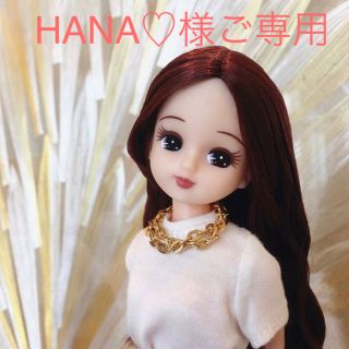 シャネル(CHANEL)のHANA♡様ご専用(シャネルヴィンテージカメリア コサージュ 箱＋タグ付き)(ブローチ/コサージュ)