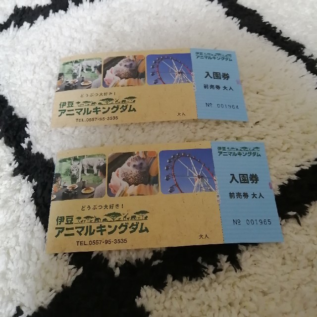 アニマルキングダム チケット チケットのイベント(キッズ/ファミリー)の商品写真