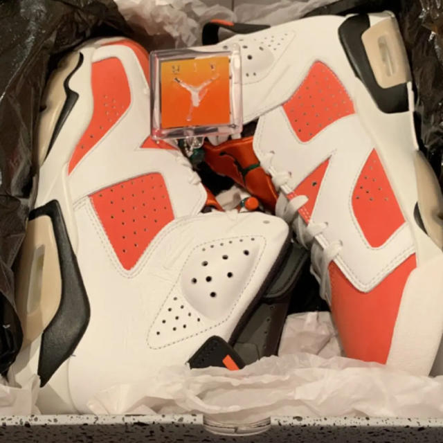 NIKE(ナイキ)のNIKE AIR JORDAN 6 RETRO Gatorade 28.5cm メンズの靴/シューズ(スニーカー)の商品写真