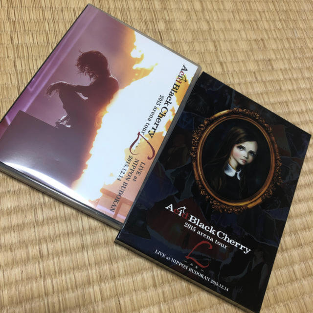 15 Arena Tour L エル Dvd ケース付きの通販 By もこ S Shop ラクマ