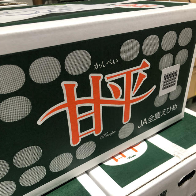 甘平　約5kg L 食品/飲料/酒の食品(フルーツ)の商品写真